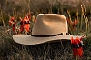 Шляпы Akubra