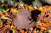 Шляпы Hanna Hats