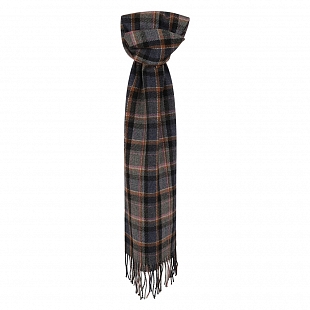 2Картинка Multicoloured Plaid Scarf